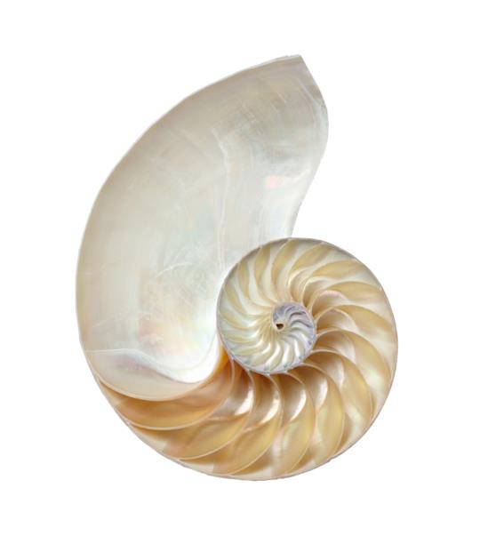 5f51f751b545d.jpg 1.jpg