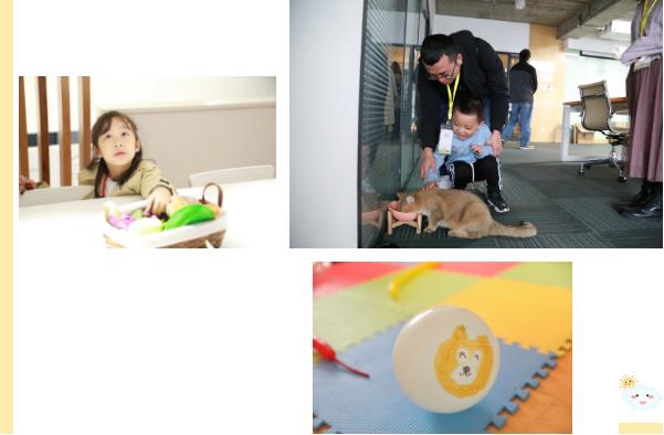 5f98c38d0257e.jpg 17.jpg