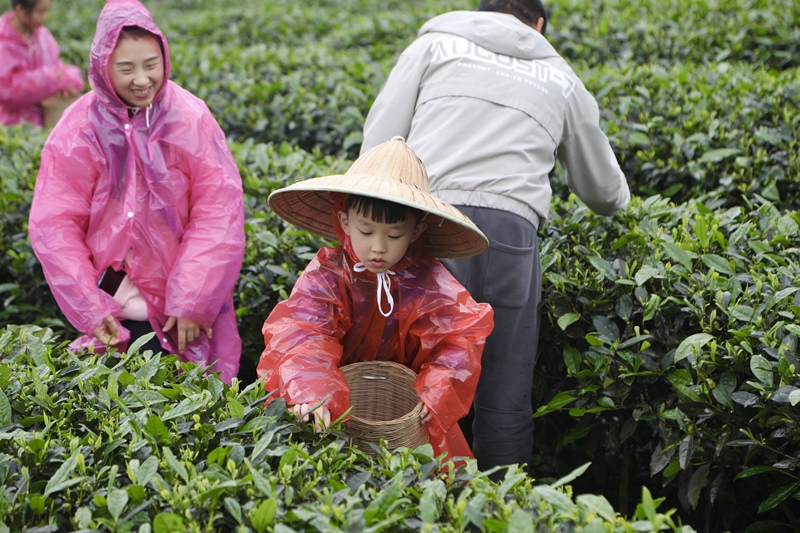 608148a9415e1.jpg 圖八.jpg