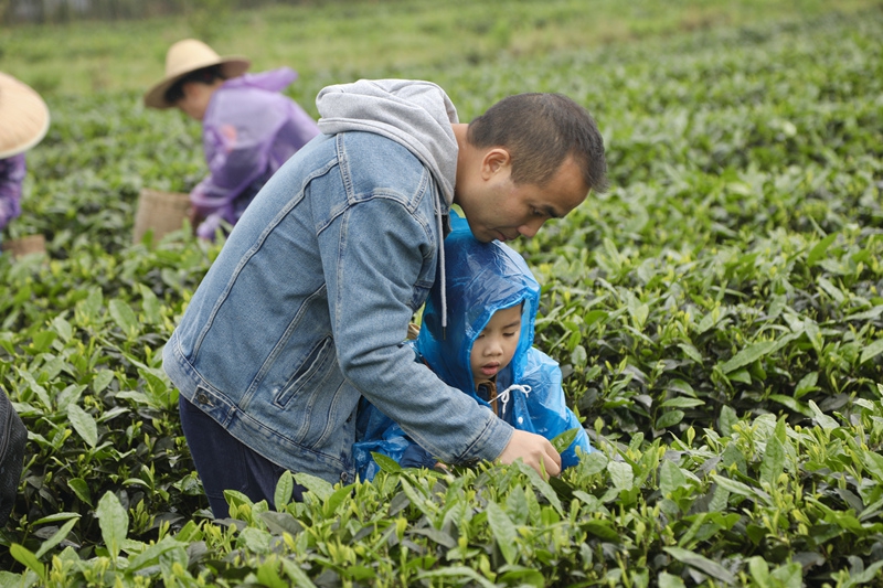 608148ba8269a.jpg 圖九.jpg