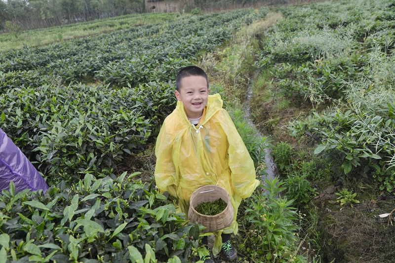 608148da3984d.jpg 圖十一.jpg