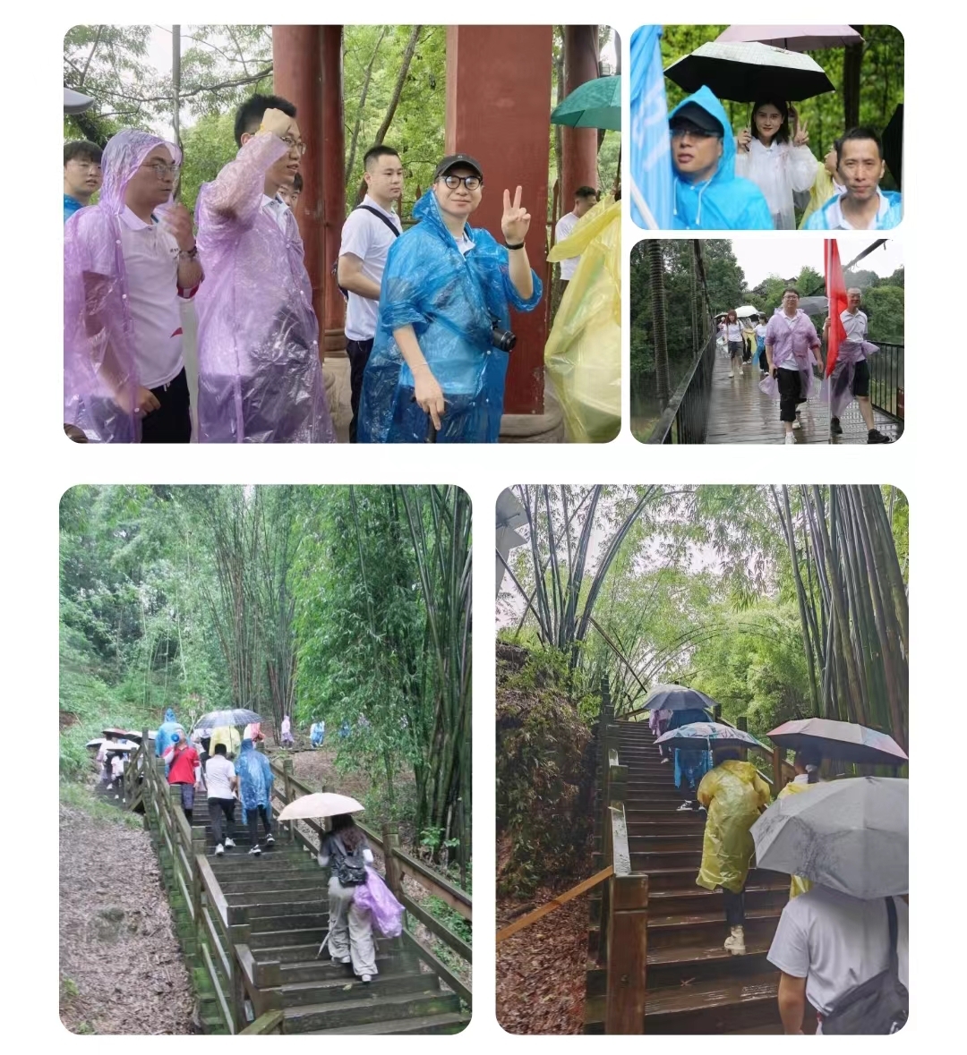 6690fae8725a3.jpg 7.jpg