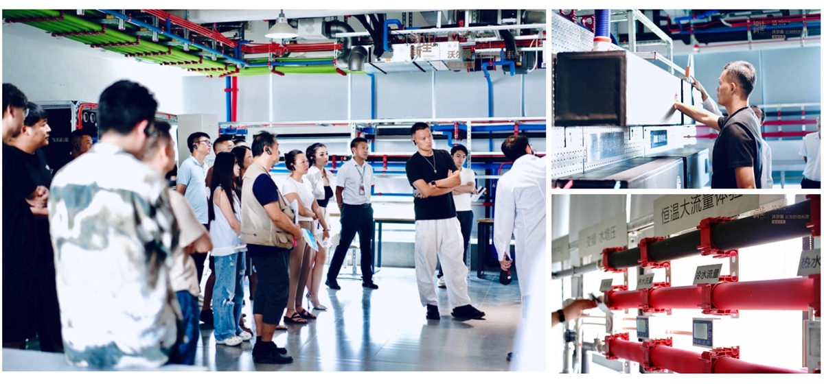 689161caab2ae.jpg 2.jpg